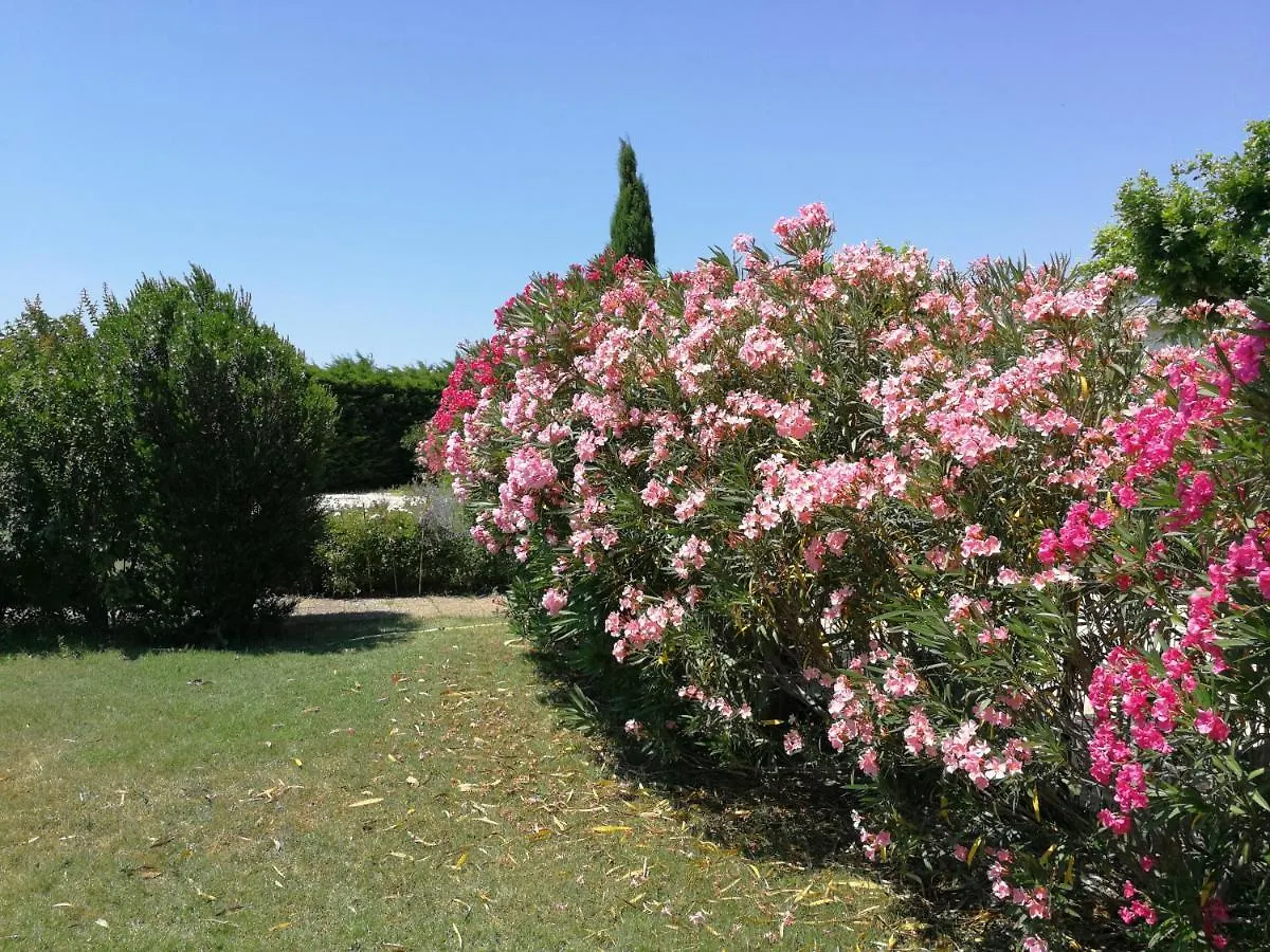 Appartements - Le Mas Des Oliviers Richerenches 0*,