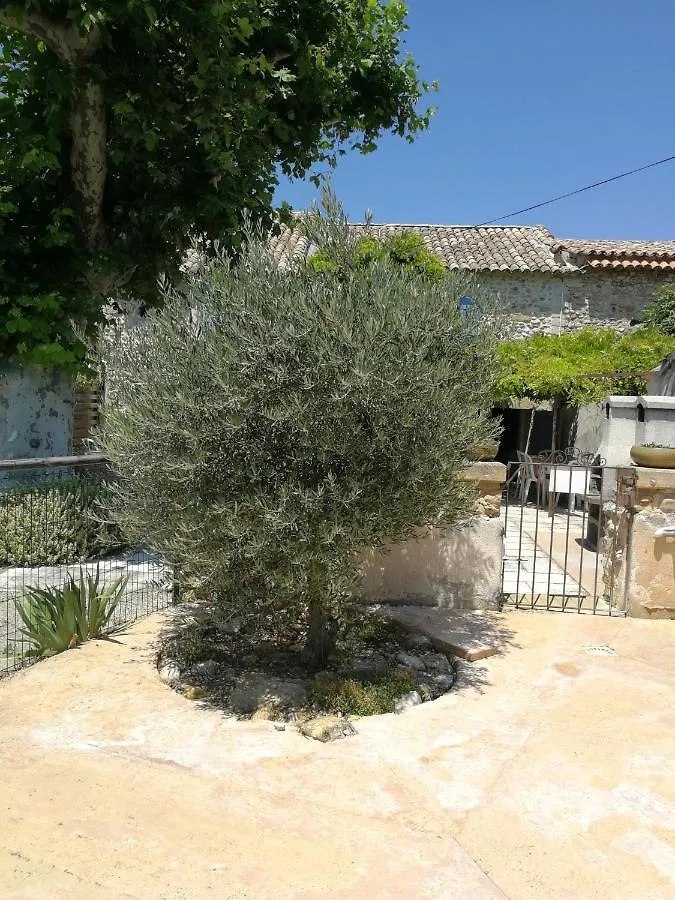 Appartements - Le Mas Des Oliviers Richerenches 0*,